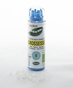 Complexe Grossesse (sans alcool) BIO, 130 granules